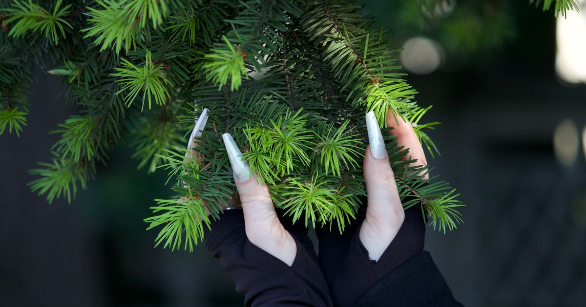 Why Do My Nails Look Short in Photos?